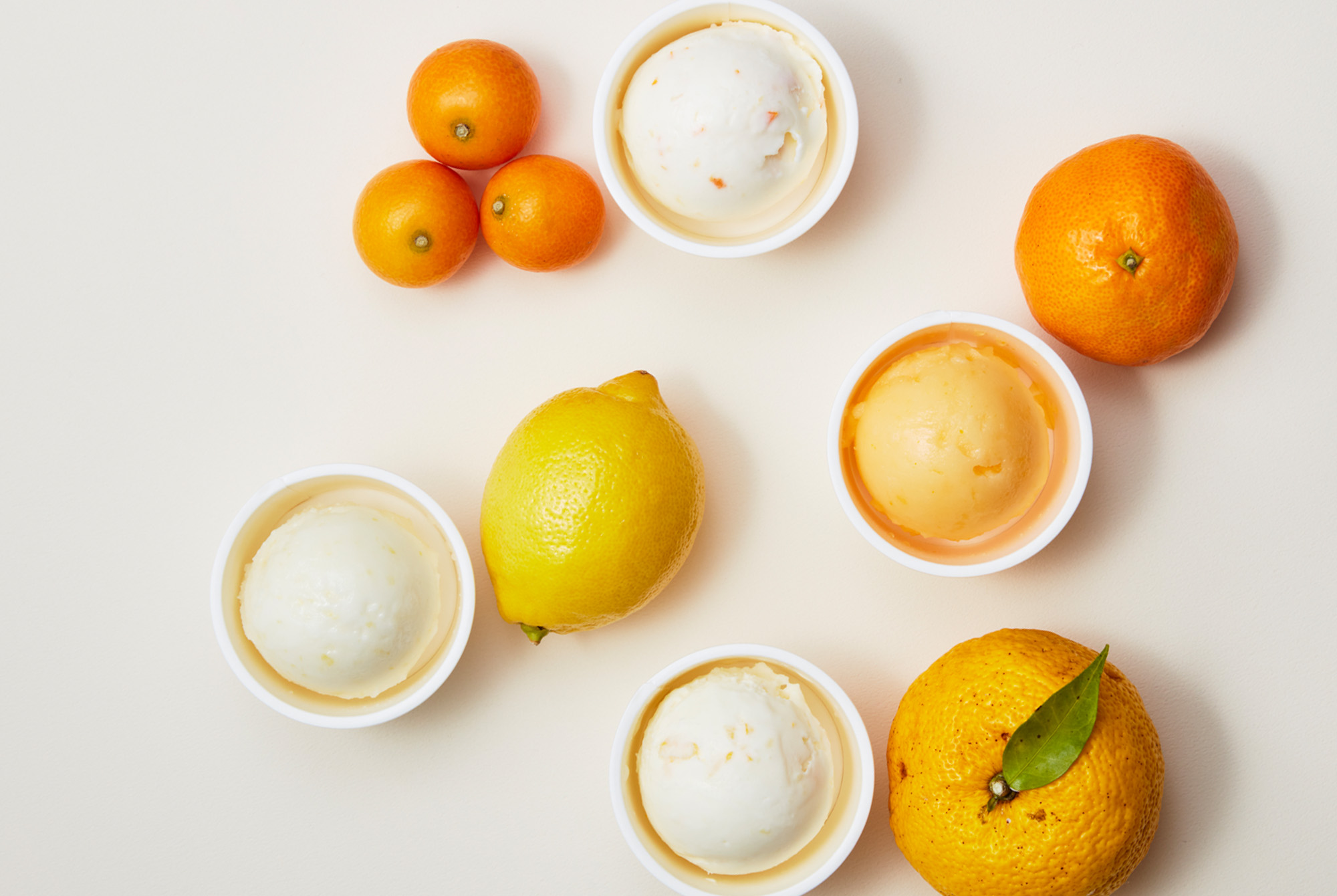 アイスクリーム詰め合わせ・ギフト HiOの柑橘セット 8個入り | HiO ICE