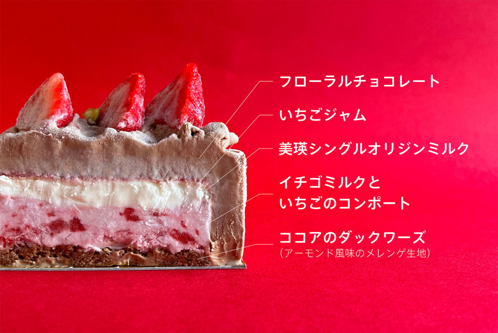店頭受取商品 東京・自由が丘】ストロベリー チョコレートアイス